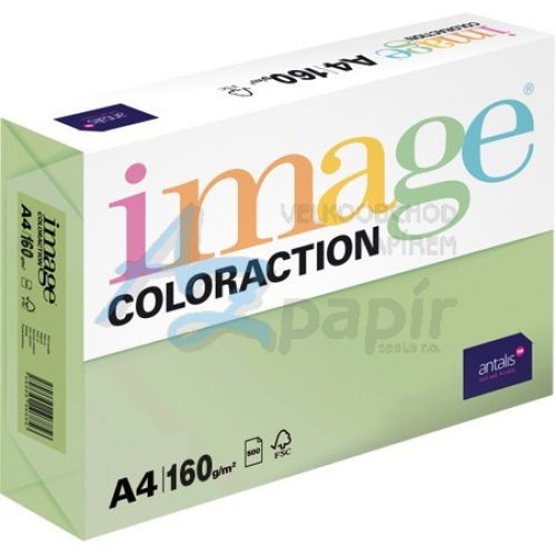 PAPEL FOTOCOPIA ANTALIS A4 160G VERDE ,  , PAPEFOTC055 , 3597320018206